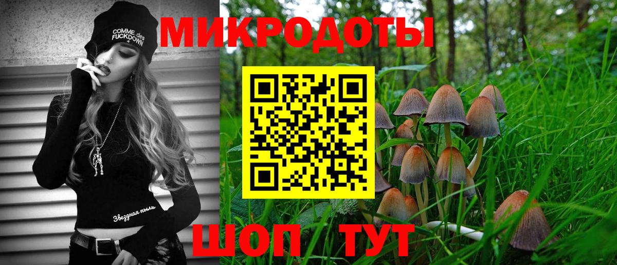 Псилоцибиновые грибы GOLDEN TEACHER  Вход с VPN  Галлюциногенные грибы MAGIC MUSHROOMS  Новороссийск 