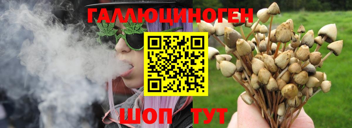 Галлюциногенные грибы мицелий Новороссийск